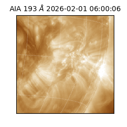 saia - 2026-02-01T06:00:06.616000