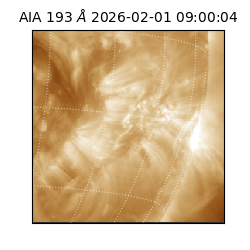 saia - 2026-02-01T09:00:04.843000