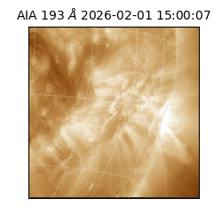 saia - 2026-02-01T15:00:07.045000