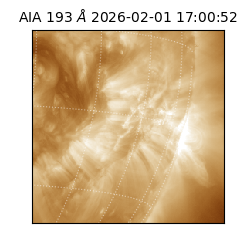 saia - 2026-02-01T17:00:52.846000