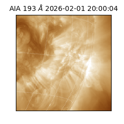 saia - 2026-02-01T20:00:04.843000