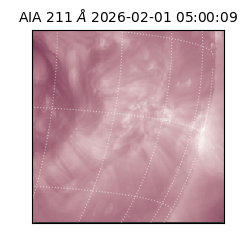 saia - 2026-02-01T05:00:09.630000