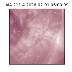 saia - 2026-02-01T06:00:09.623000