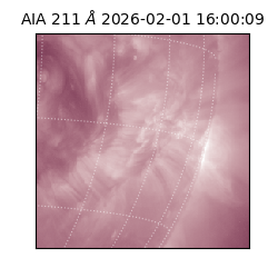 saia - 2026-02-01T16:00:09.619000