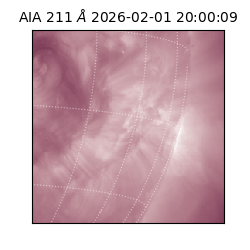 saia - 2026-02-01T20:00:09.623000