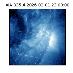 saia - 2026-02-01T23:00:00.637000