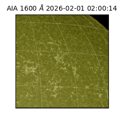 saia - 2026-02-01T02:00:14.126000