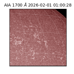 saia - 2026-02-01T01:00:28.717000