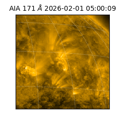 saia - 2026-02-01T05:00:09.350000