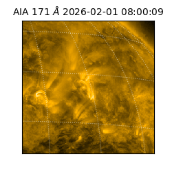 saia - 2026-02-01T08:00:09.342000