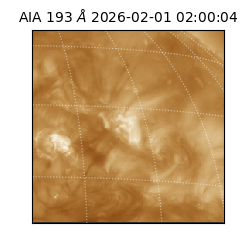 saia - 2026-02-01T02:00:04.843000