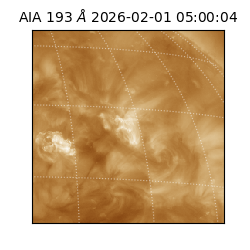 saia - 2026-02-01T05:00:04.843000