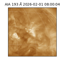 saia - 2026-02-01T08:00:04.835000