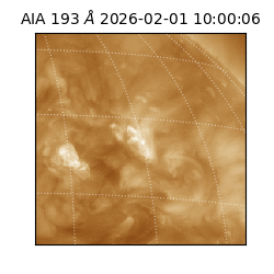 saia - 2026-02-01T10:00:06.939000