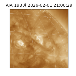 saia - 2026-02-01T21:00:29.627000