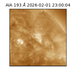 saia - 2026-02-01T23:00:04.843000