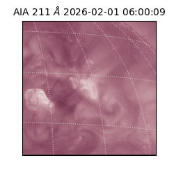 saia - 2026-02-01T06:00:09.623000