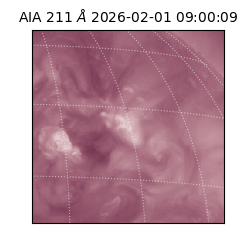 saia - 2026-02-01T09:00:09.626000