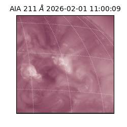 saia - 2026-02-01T11:00:09.632000