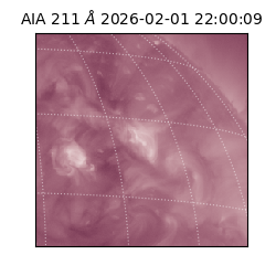 saia - 2026-02-01T22:00:09.625000