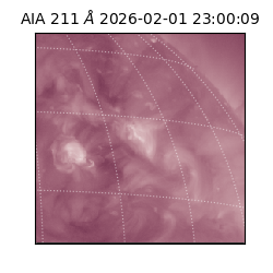 saia - 2026-02-01T23:00:09.633000