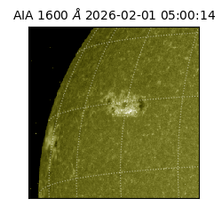 saia - 2026-02-01T05:00:14.125000