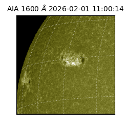 saia - 2026-02-01T11:00:14.133000