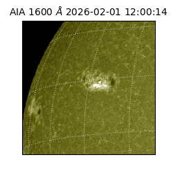 saia - 2026-02-01T12:00:14.125000