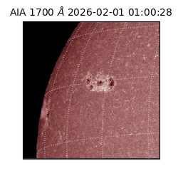 saia - 2026-02-01T01:00:28.717000