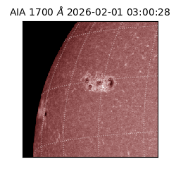 saia - 2026-02-01T03:00:28.721000