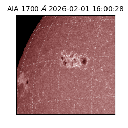 saia - 2026-02-01T16:00:28.717000