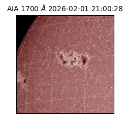 saia - 2026-02-01T21:00:28.717000