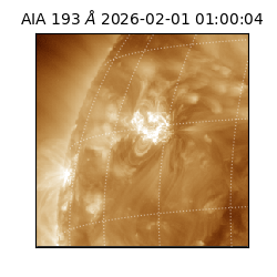 saia - 2026-02-01T01:00:04.843000