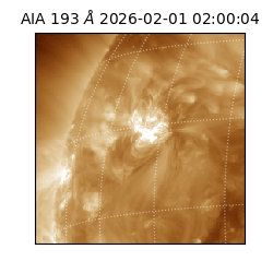 saia - 2026-02-01T02:00:04.843000