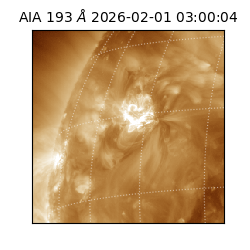 saia - 2026-02-01T03:00:04.843000