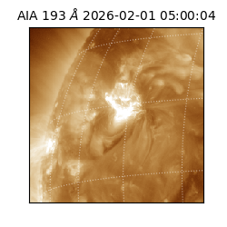 saia - 2026-02-01T05:00:04.843000