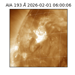saia - 2026-02-01T06:00:06.616000