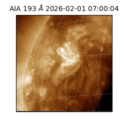 saia - 2026-02-01T07:00:04.843000