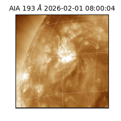 saia - 2026-02-01T08:00:04.835000