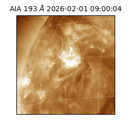 saia - 2026-02-01T09:00:04.843000