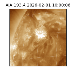 saia - 2026-02-01T10:00:06.939000