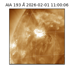 saia - 2026-02-01T11:00:06.614000