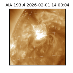 saia - 2026-02-01T14:00:04.843000