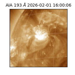 saia - 2026-02-01T16:00:06.780000