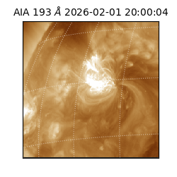 saia - 2026-02-01T20:00:04.843000