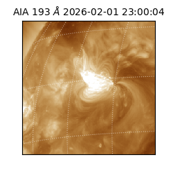 saia - 2026-02-01T23:00:04.843000