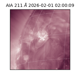 saia - 2026-02-01T02:00:09.632000