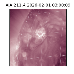 saia - 2026-02-01T03:00:09.637000