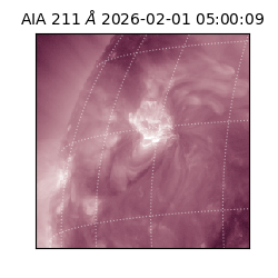 saia - 2026-02-01T05:00:09.630000