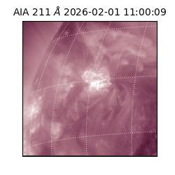 saia - 2026-02-01T11:00:09.632000